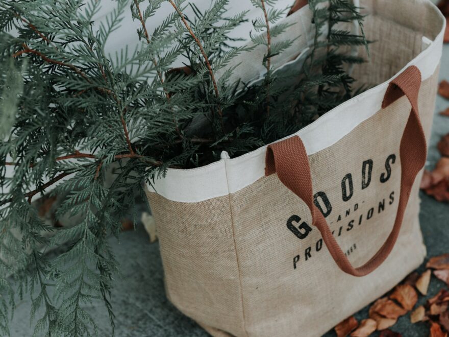brown Goods tote bag with green plant